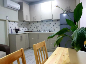 Batumi center clean apartment